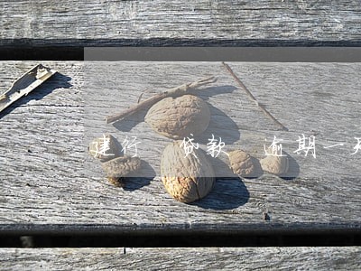 建行 贷款 逾期一天怎么办 建行 贷款 逾期一天怎么办